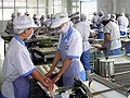 大型全自动豆腐生产线客户案例-开云体育科技控股有限公司