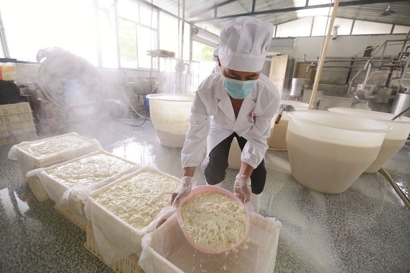 豆腐行业的利润分析一年能挣几十万是真的吗?(图1)