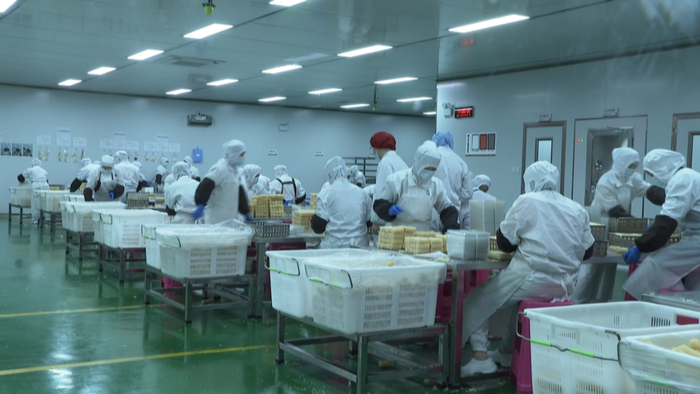 全自动豆干机厂家梳理豆干规模化生产与烟熏工艺场景解决方案(图1)