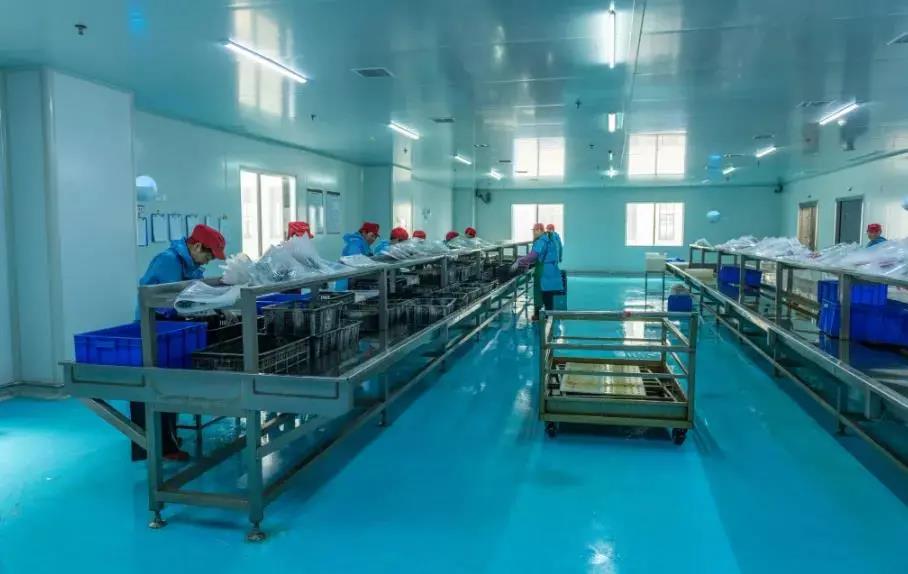 全自动豆腐机哪家便宜(图1)