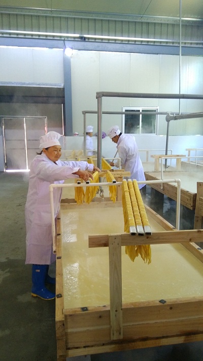 贵州遵义现场智能化全自动豆腐豆皮豆干生产线豆腐厂加工设备(图1)