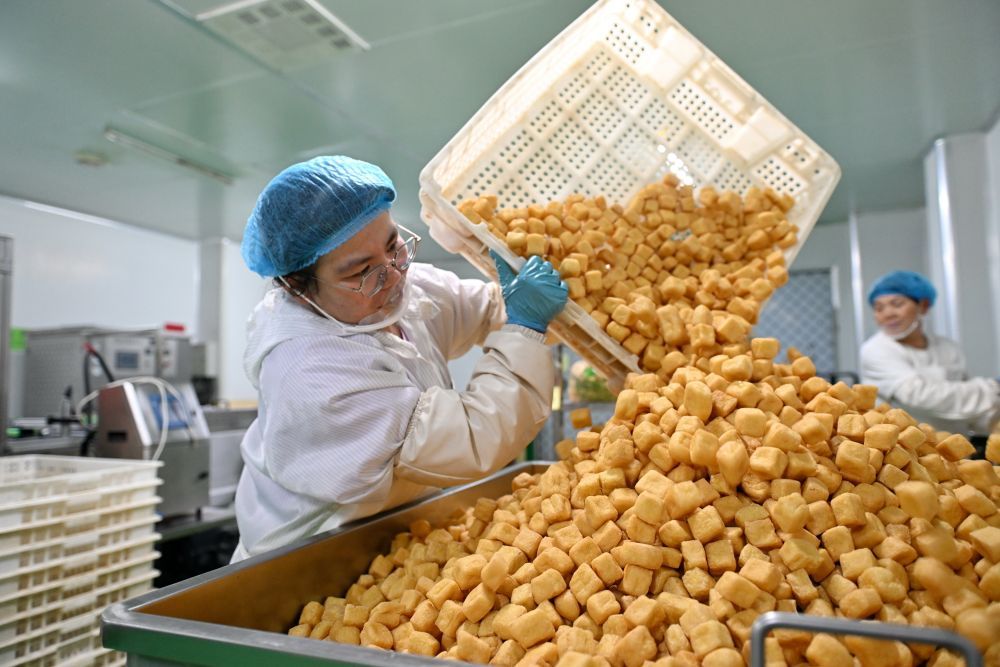 必须看的豆制品厂建厂指导